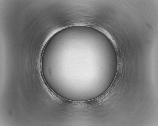 X0000115500811200911201617