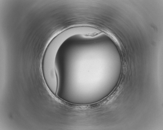 X0000115500813200911201617