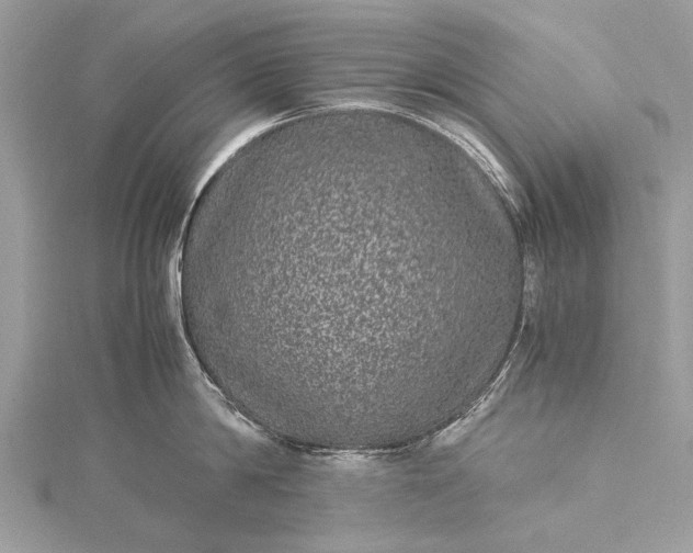 X0000115500814200911201617