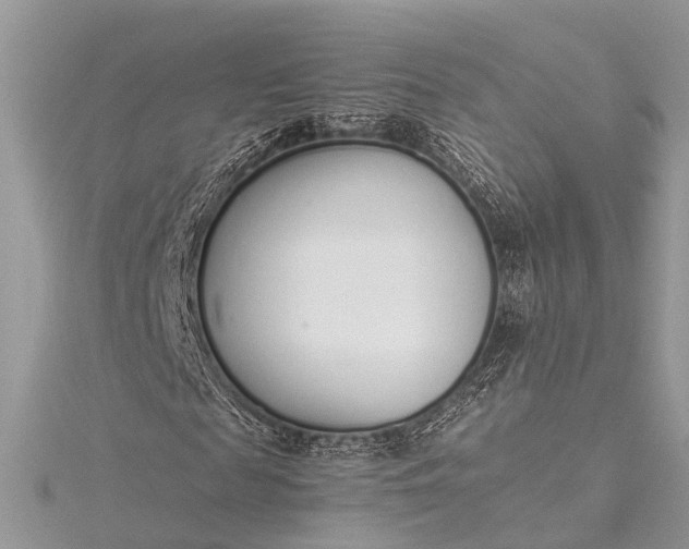 X0000115500817200911201616