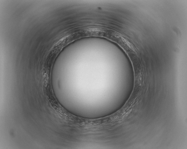X0000115500821200911201616
