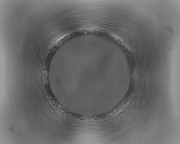 X0000115500822200911201616