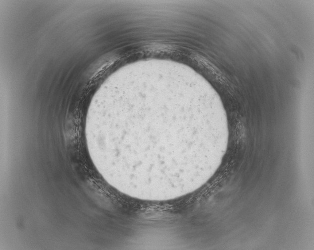 X0000115500824200911201616