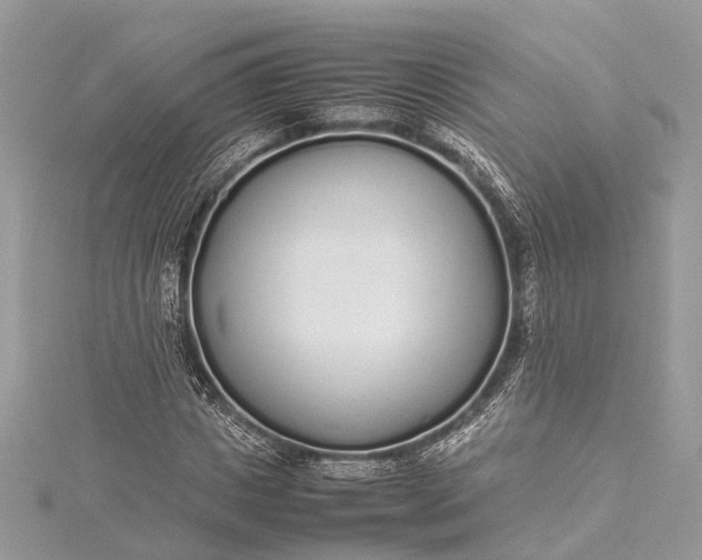 X0000115500825200911201616