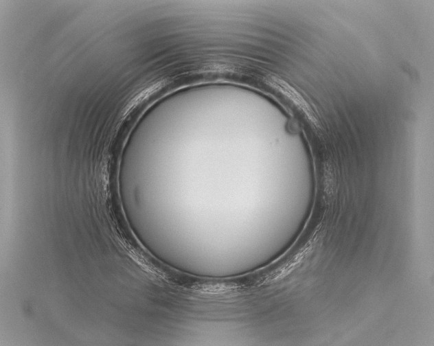 X0000115500826200911201616