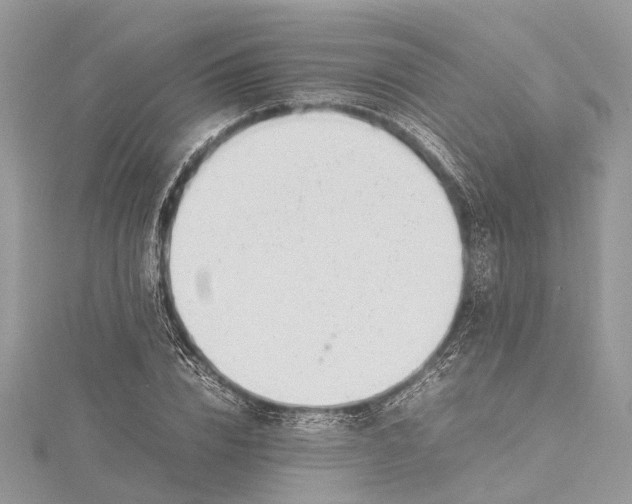 X0000115500832200911201616