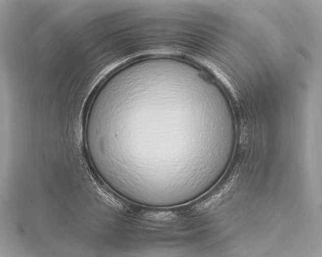 X0000115500837200911201617