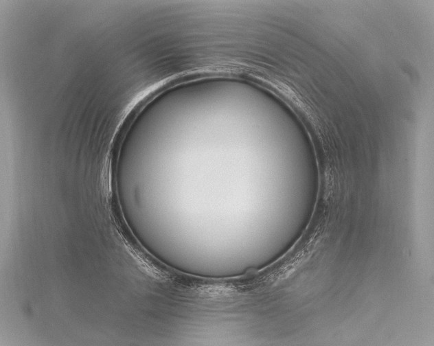 X0000115500838200911201617