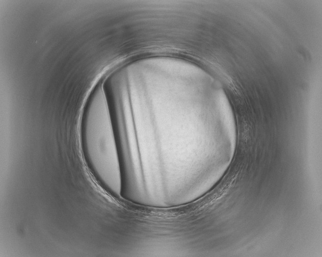X0000115500840200911201617