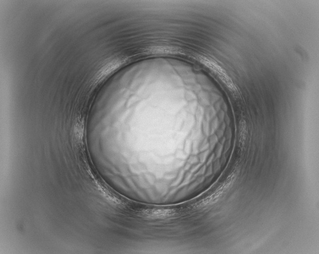 X0000115500841200911201617