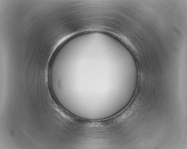 X0000115500846200911201617