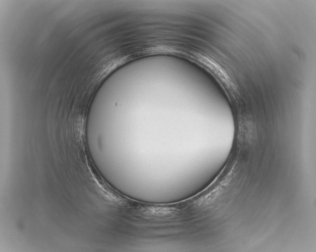 X0000115500849200911201617