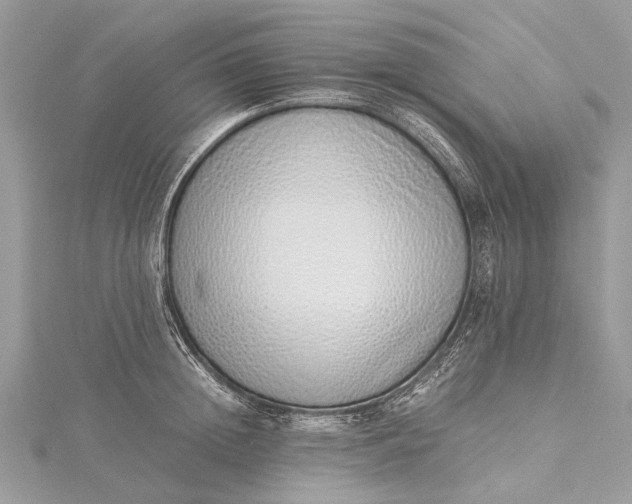 X0000115500852200911201617