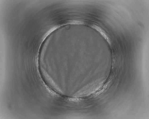 X0000115500853200911201617