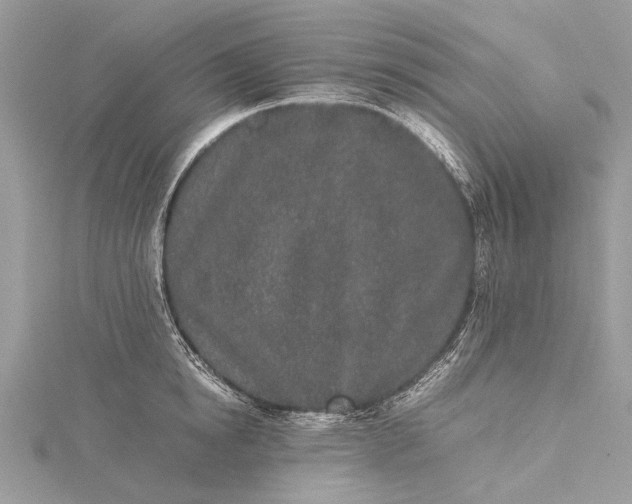 X0000115500854200911201617