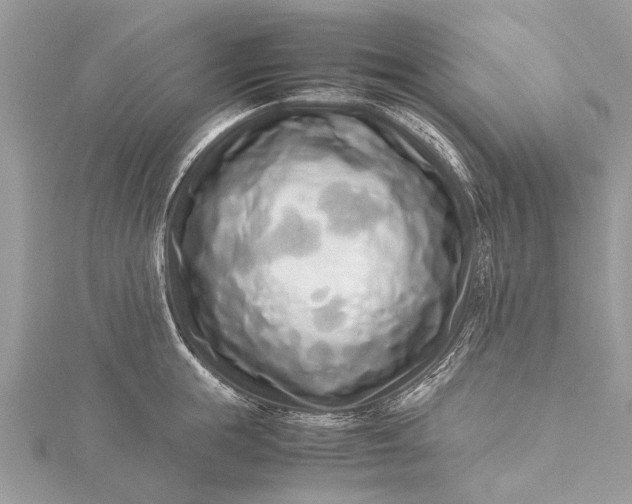 X0000115500855200911201617