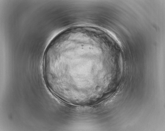 X0000115500863200911201617