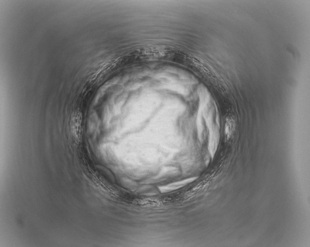X0000115500867200911201616