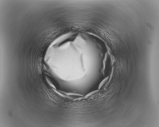 X0000115500868200911201616