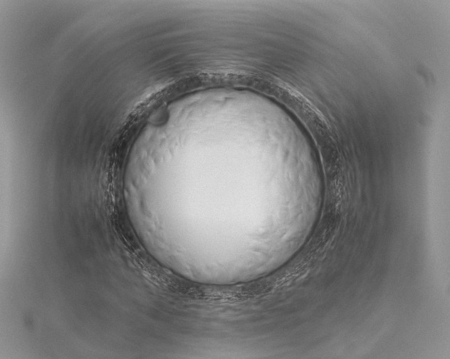 X0000115500870200911201616