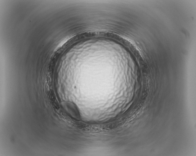 X0000115500871200911201616