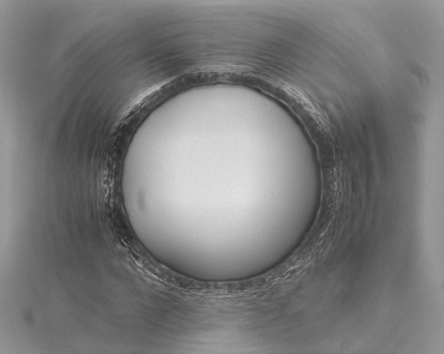 X0000115500872200911201616
