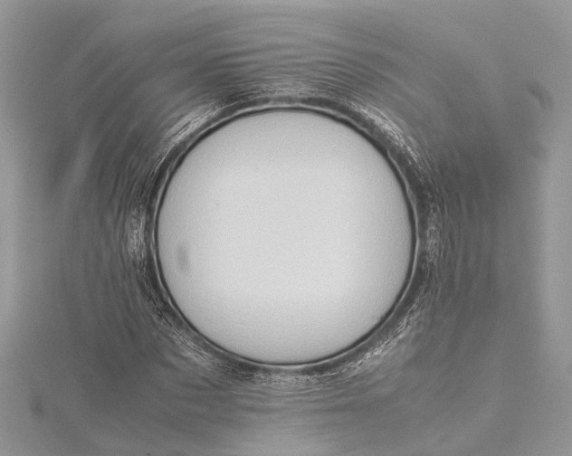 X0000115500873200911201616