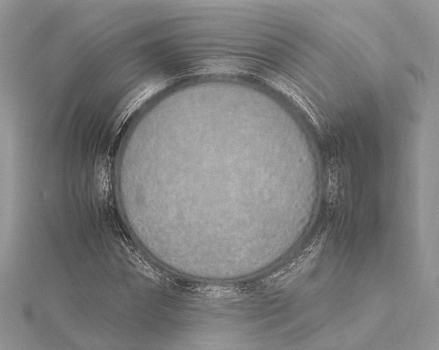 X0000115500874200911201616