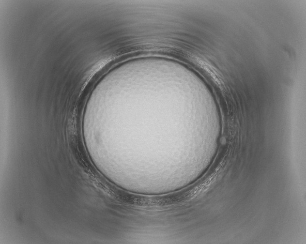 X0000115500875200911201616