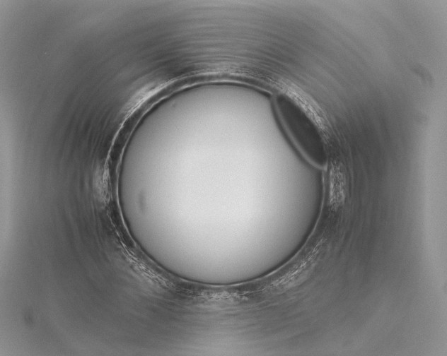X0000115500876200911201616
