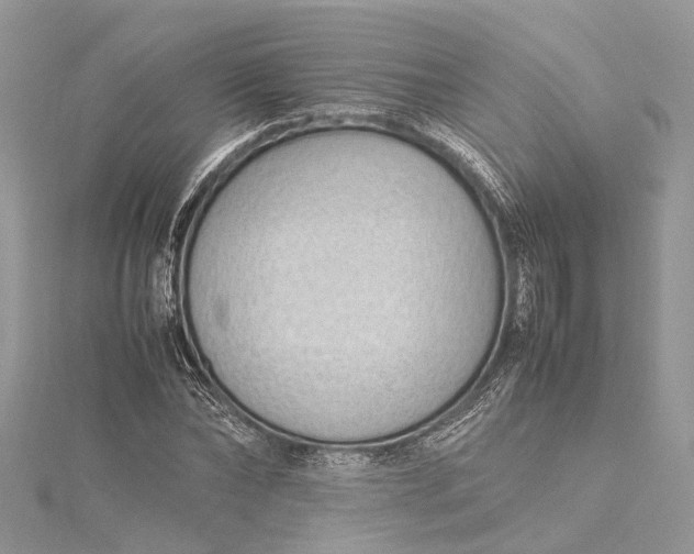X0000115500878200911201616