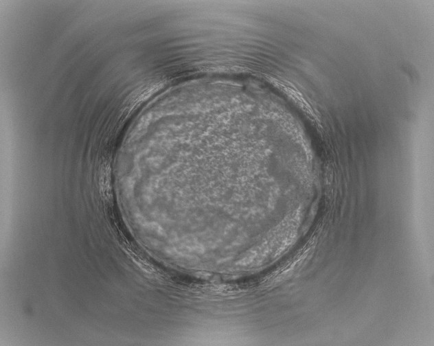 X0000115500881200911201616
