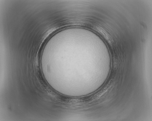 X0000115500883200911201616