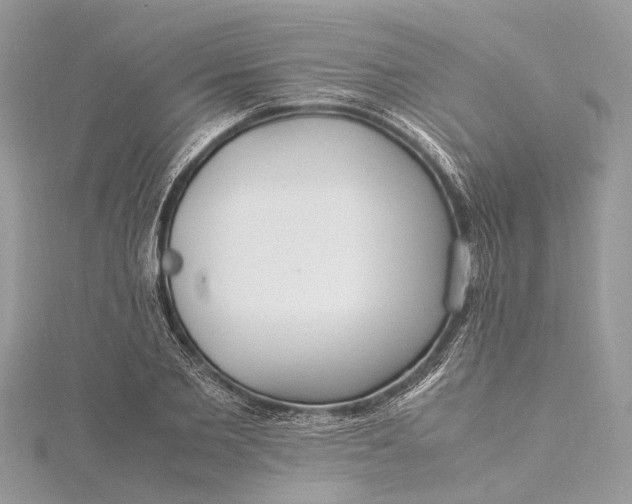 X0000115500885200911201616