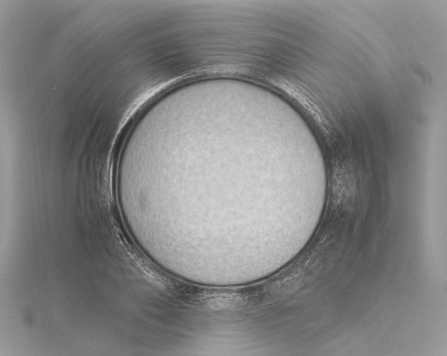 X0000115500886200911201616