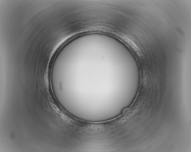 X0000115500888200911201616