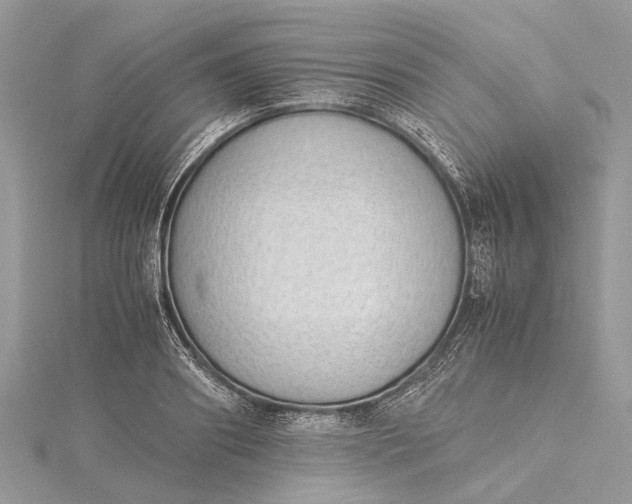 X0000115500890200911201616