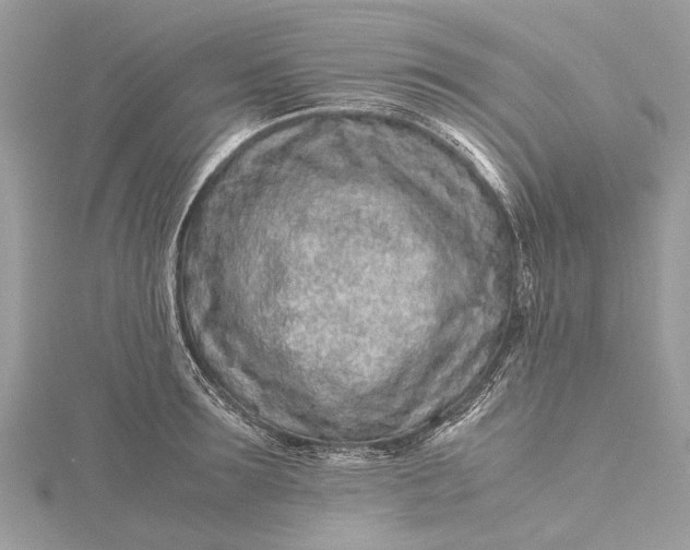 X0000115500899200911201616