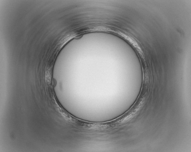 X0000115500905200911201616