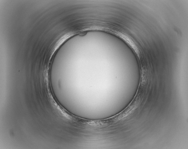X0000115500906200911201616