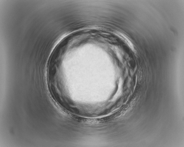 X0000115500907200911201616