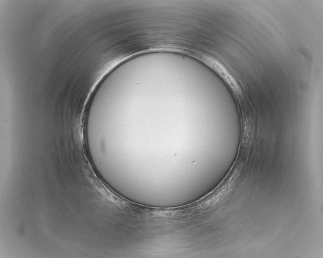 X0000115500908200911201616