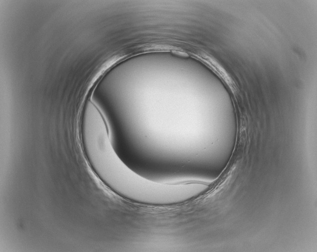 X0000115500909200911201616