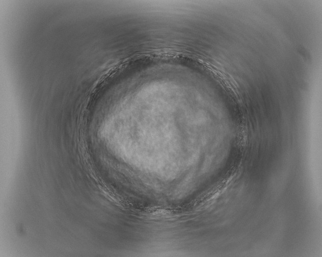 X0000115500913200911201615