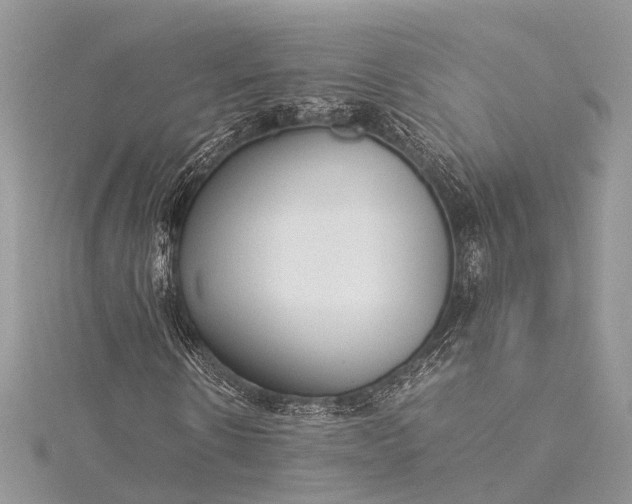 X0000115500914200911201615