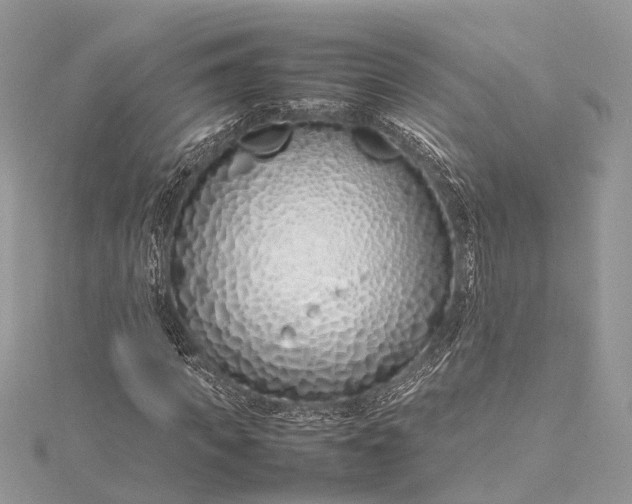 X0000115500917200911201615