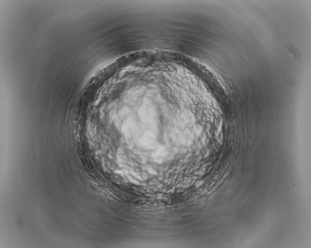 X0000115500919200911201615
