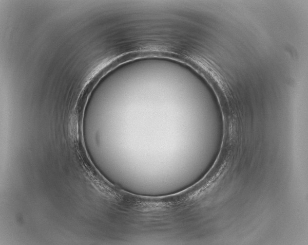 X0000115500925200911201615