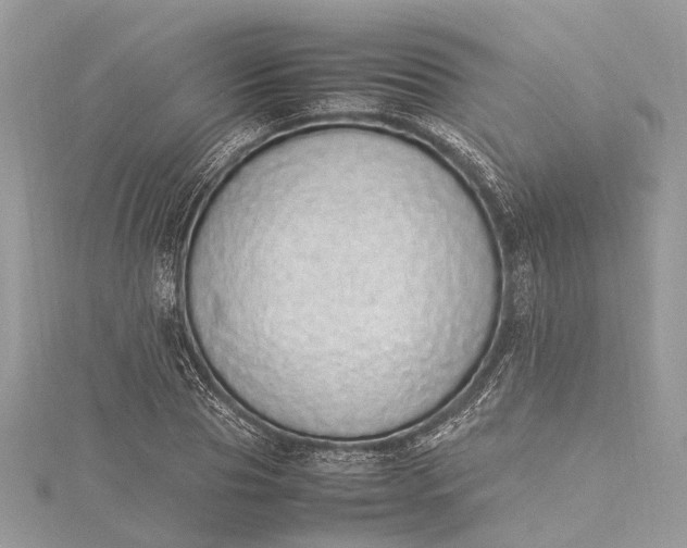 X0000115500929200911201615