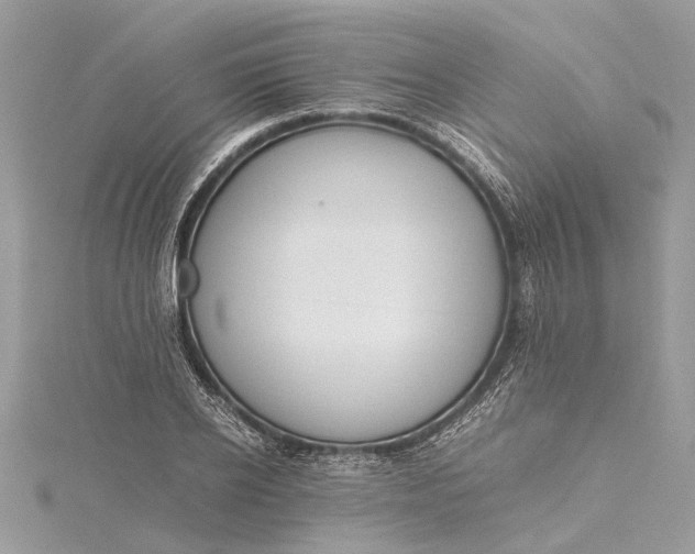 X0000115500934200911201615